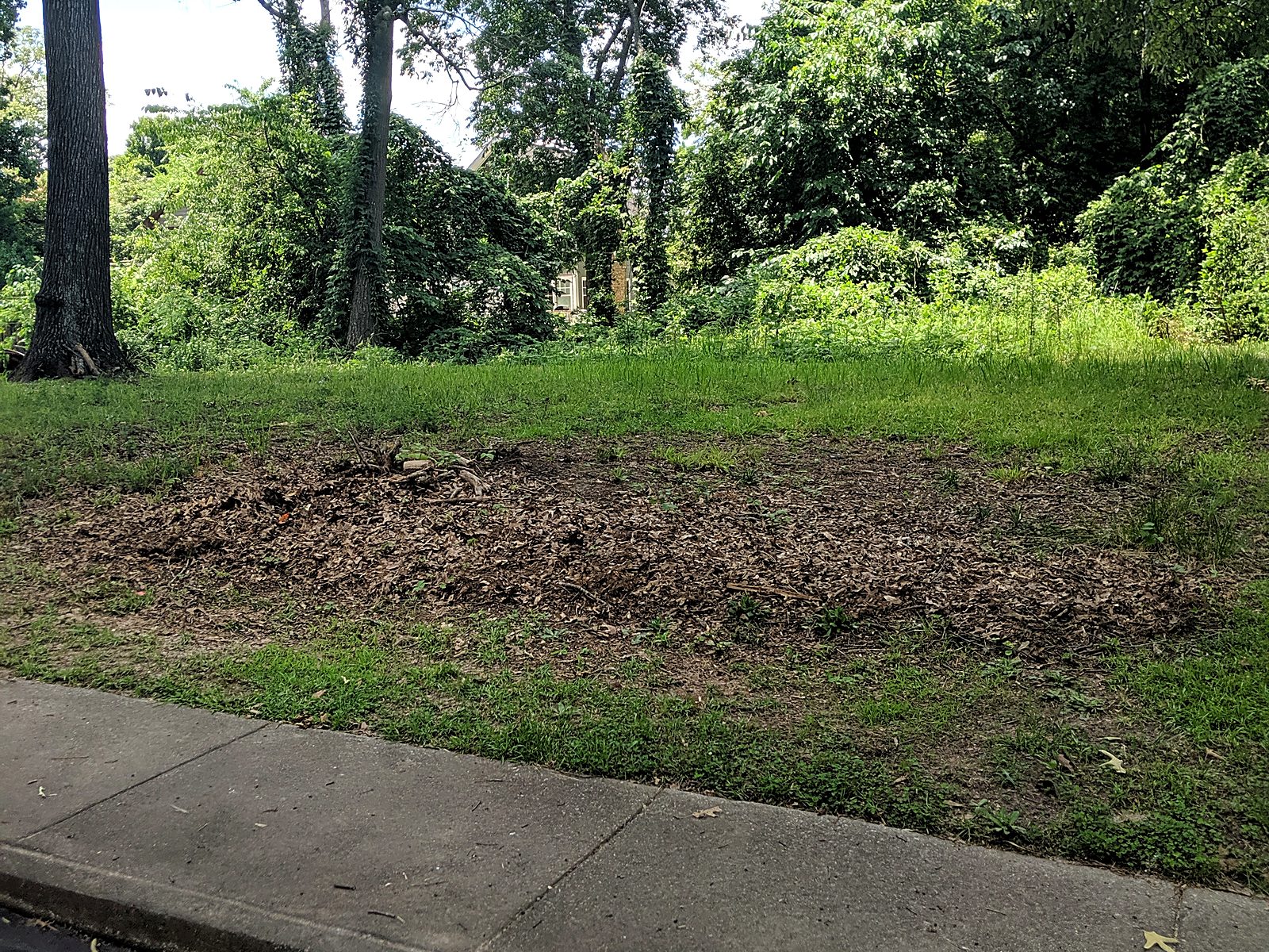 Jackson Street lots, Hapeville — after